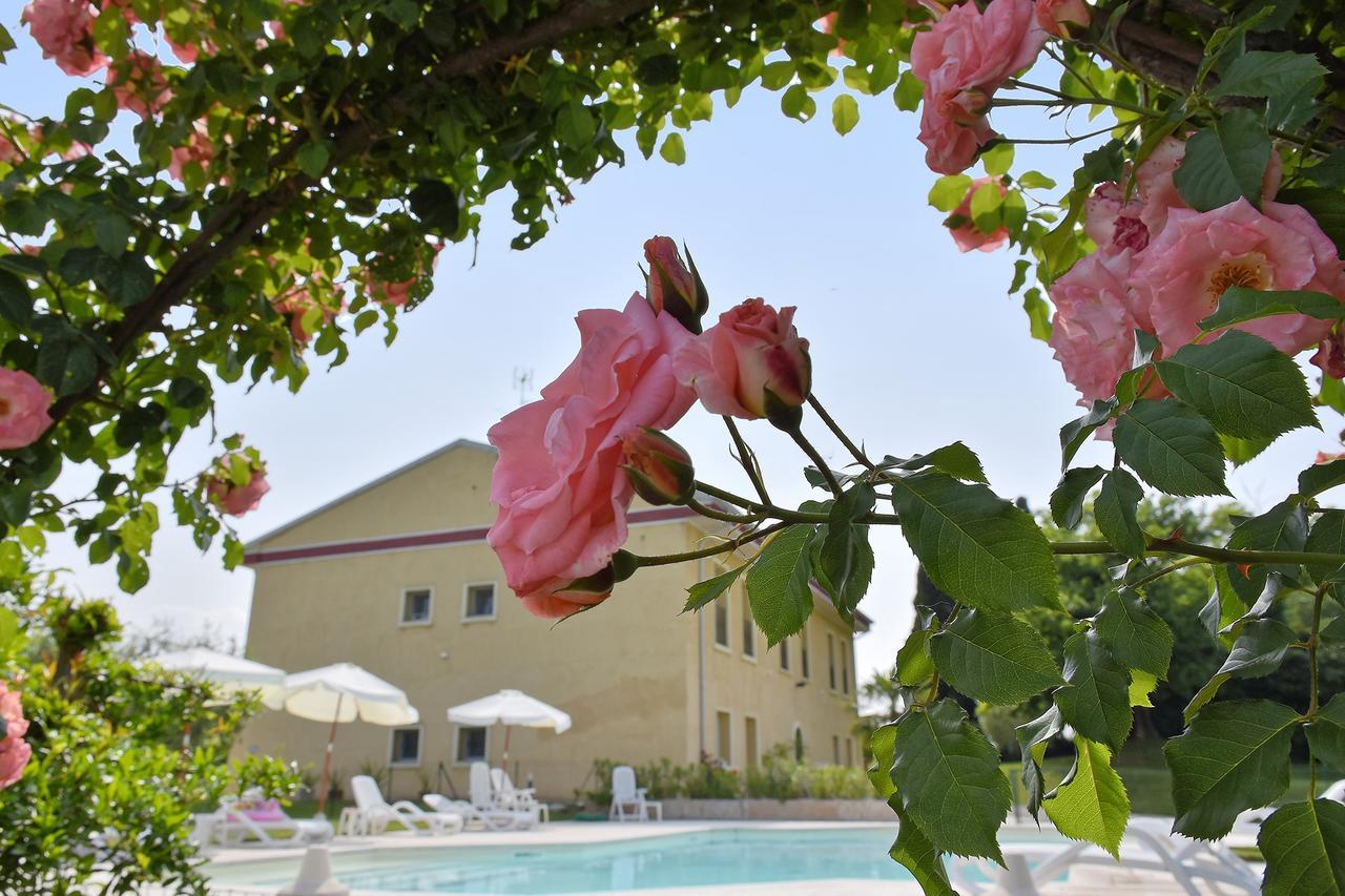Agriturismo Panorama Salionze Exteriör bild